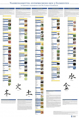 Plakat Nahrungsmittel mit 83 Abbildungen entsprechend den 5 Elementen
