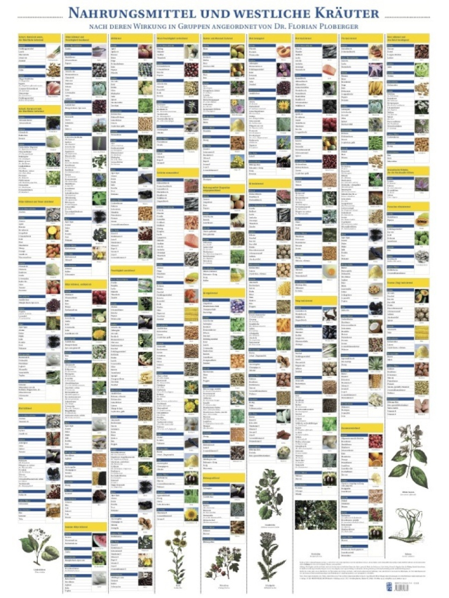 Plakat Nahrungsmittel und westliche Kräuter mit 224 Abbildungen