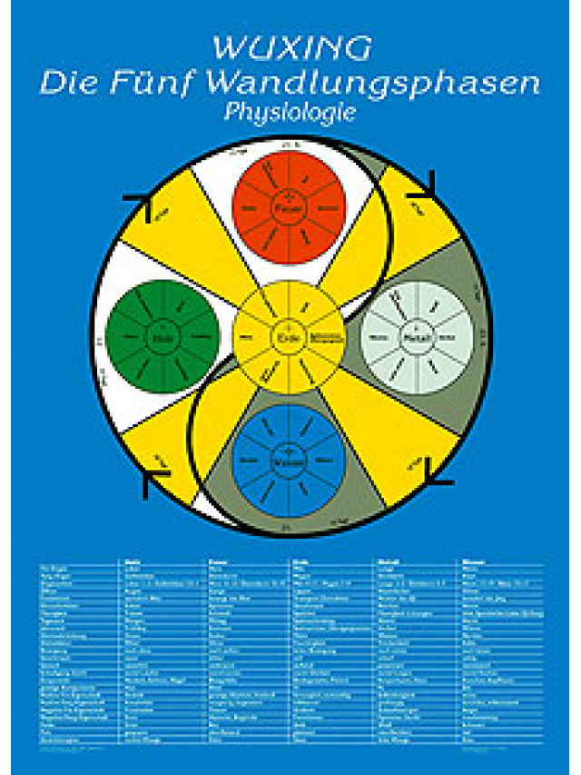 Lehrtafel Physiologie, Wuxing Die Fünf Wandlungsphasen Poster